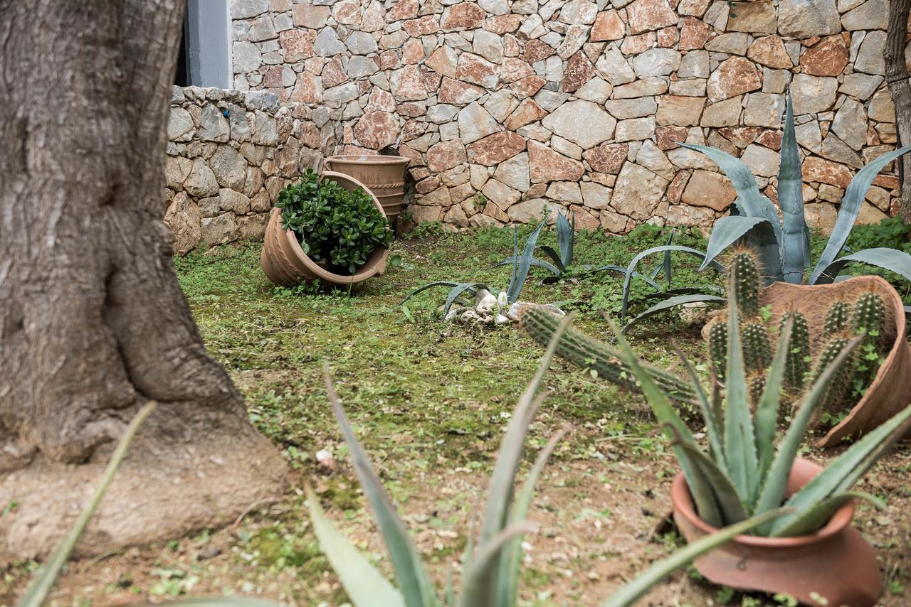 Zen Serenity Retreat With Great Outdoors, Pool & Parking Aptera Esterno foto